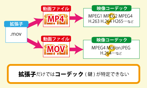 動画が再生できない そんなときに必ず役立つ5つの知識 Smarvee Press