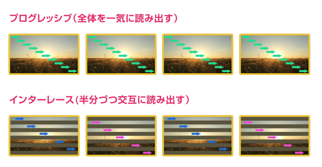 フィールドオーダー